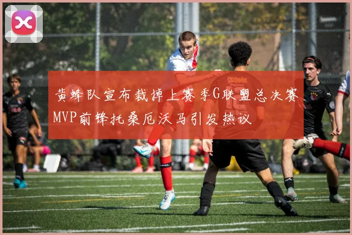 黄蜂队宣布裁掉上赛季G联盟总决赛MVP前锋托桑厄沃马引发热议