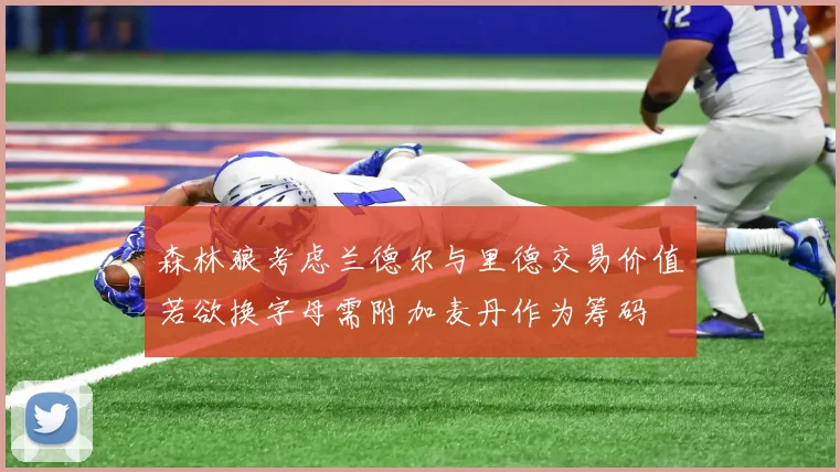 森林狼考虑兰德尔与里德交易价值若欲换字母需附加麦丹作为筹码